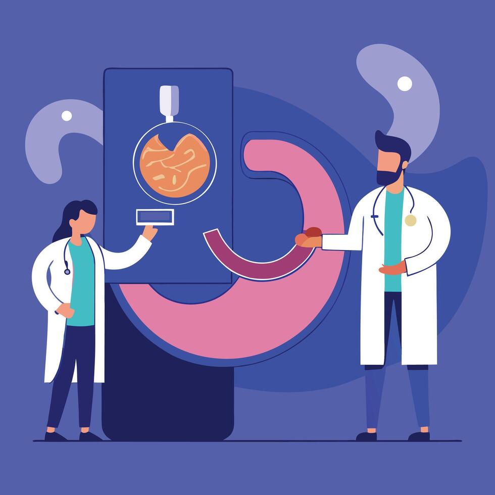 Female and male doctors review an abdominal scan, illustrating medical collaboration and diagnostic technology vector