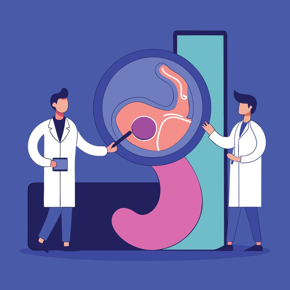 Doctors are reviewing the stomach model with a magnifying glass against a blue background vector
