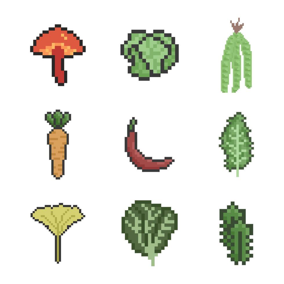 vegetable bundle plant vector