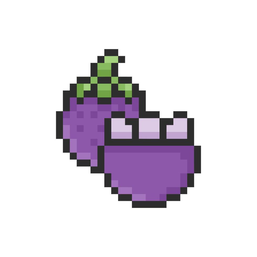 mangosteen pixel art vector