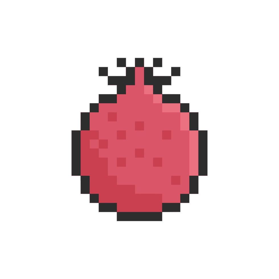 pomegranate pixel art vector