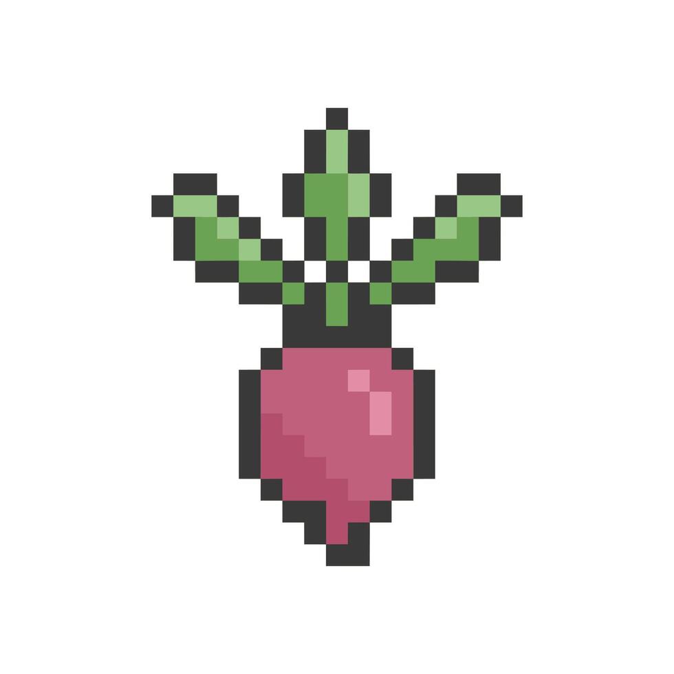 beetroot pixel retro vector