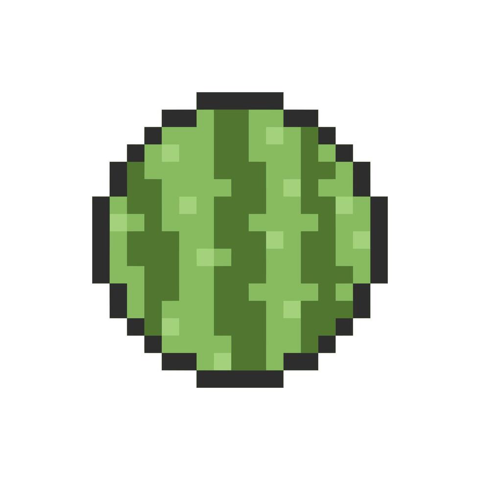 watermelon pixel art vector