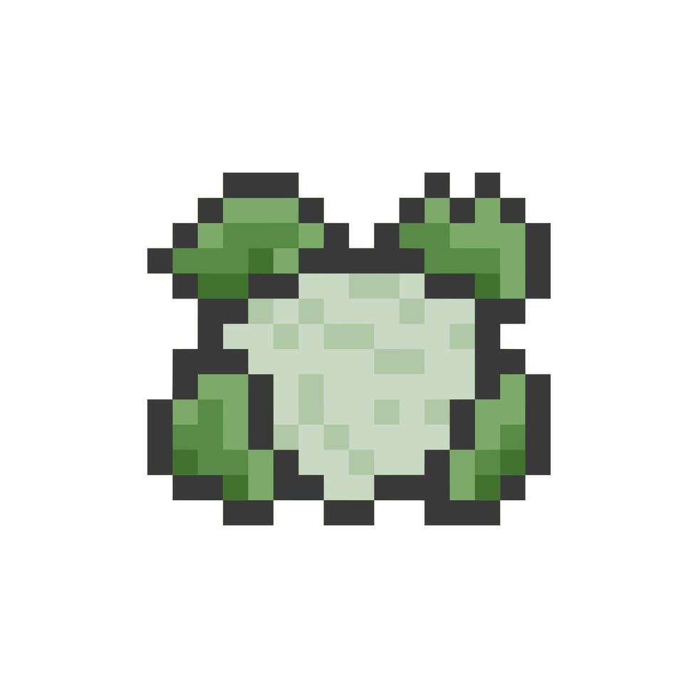 cauliflower pixel art vector