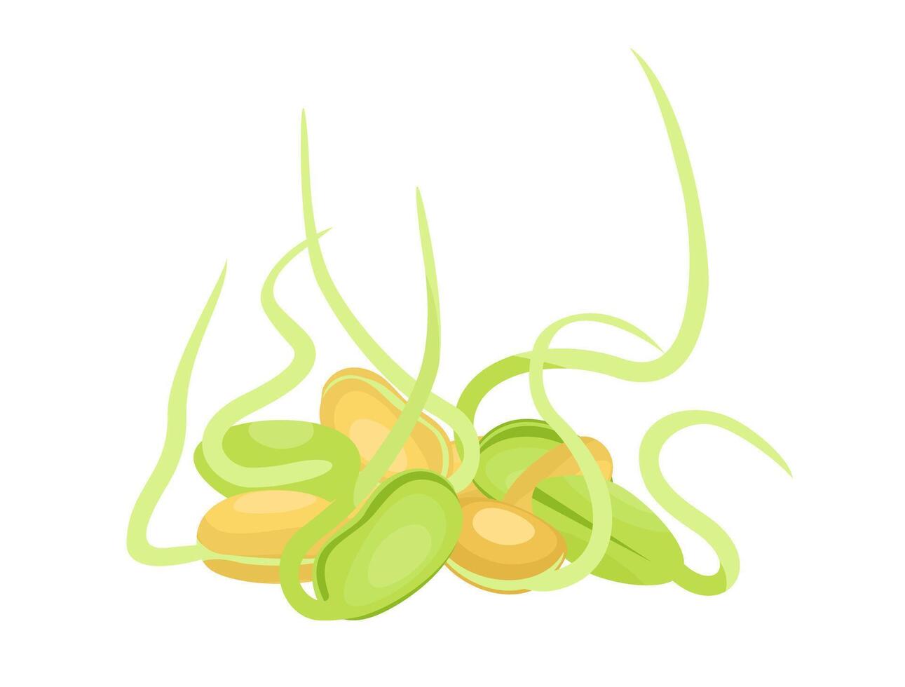 Bean sprouts, soybean sprouts illustration. Sprouted bean, soy legume food, soybean seeds. Vegetable vector