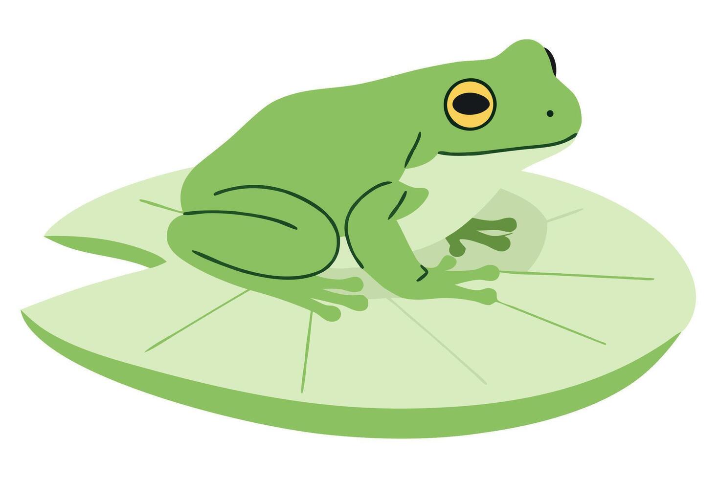 Frog Sitting on a Green Lotus Leaf in Calm Water Environment for Nature and Wildlife Themes vector