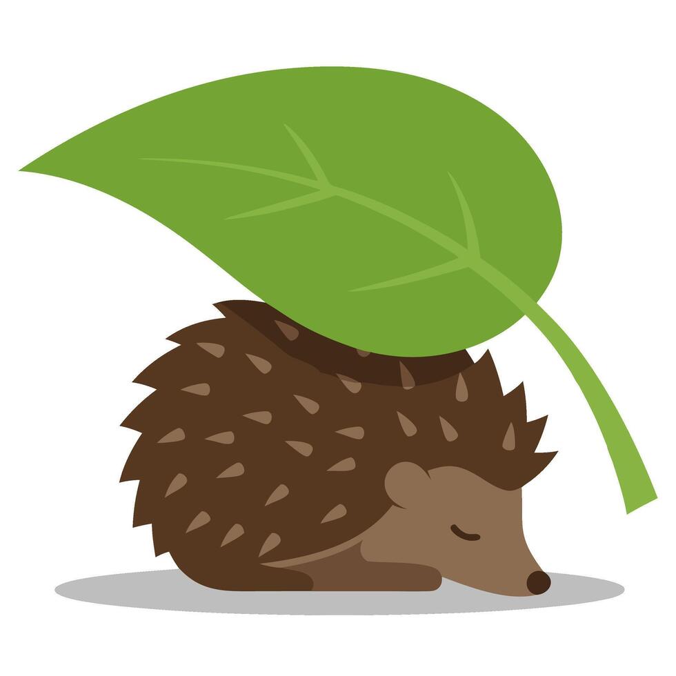 Cute Little Hedgehog with Leaf Resting in a Playful Cartoon Style vector