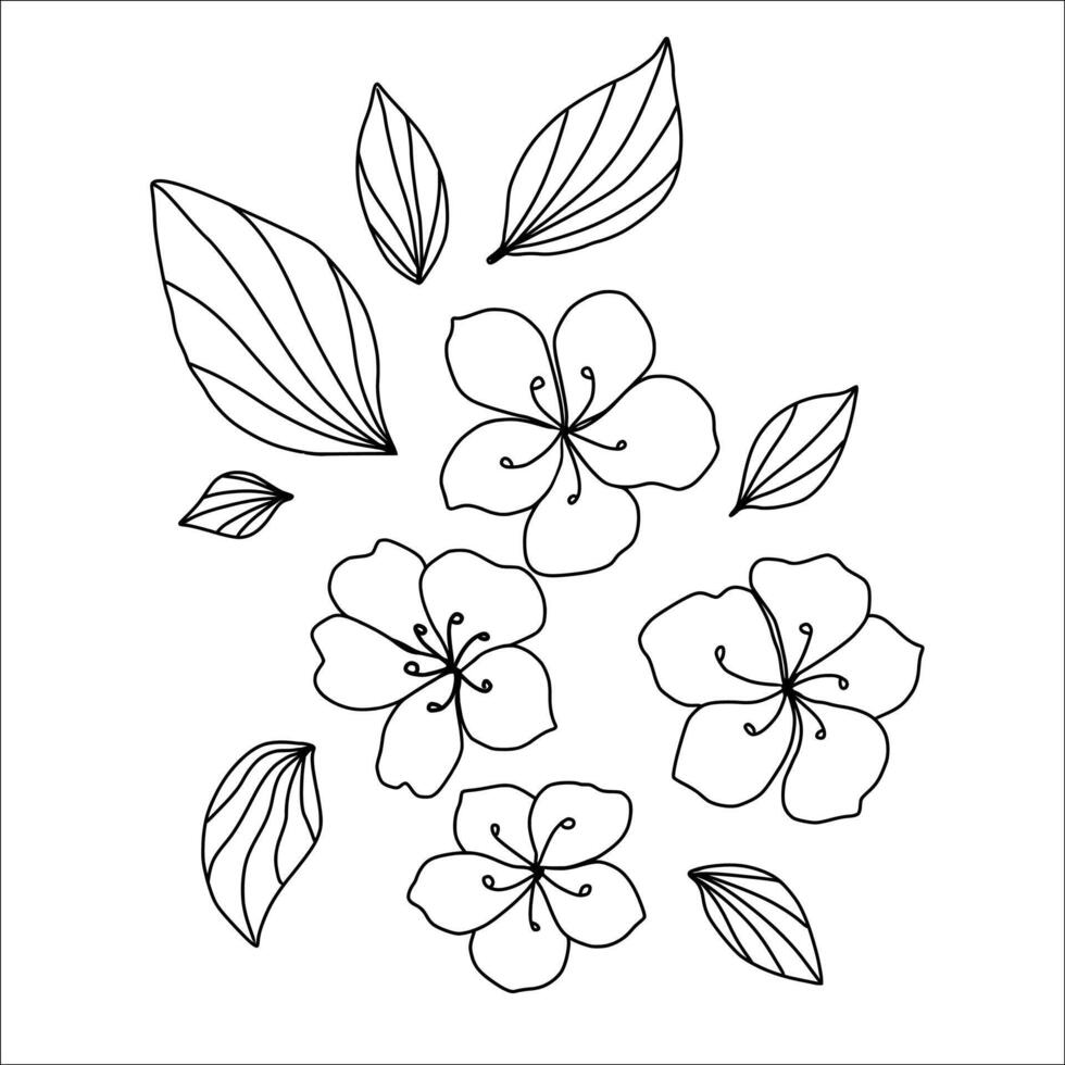 set of Flower and leaf, Botanical clipart hand drawn, black and white flower, outline with transparent background vector