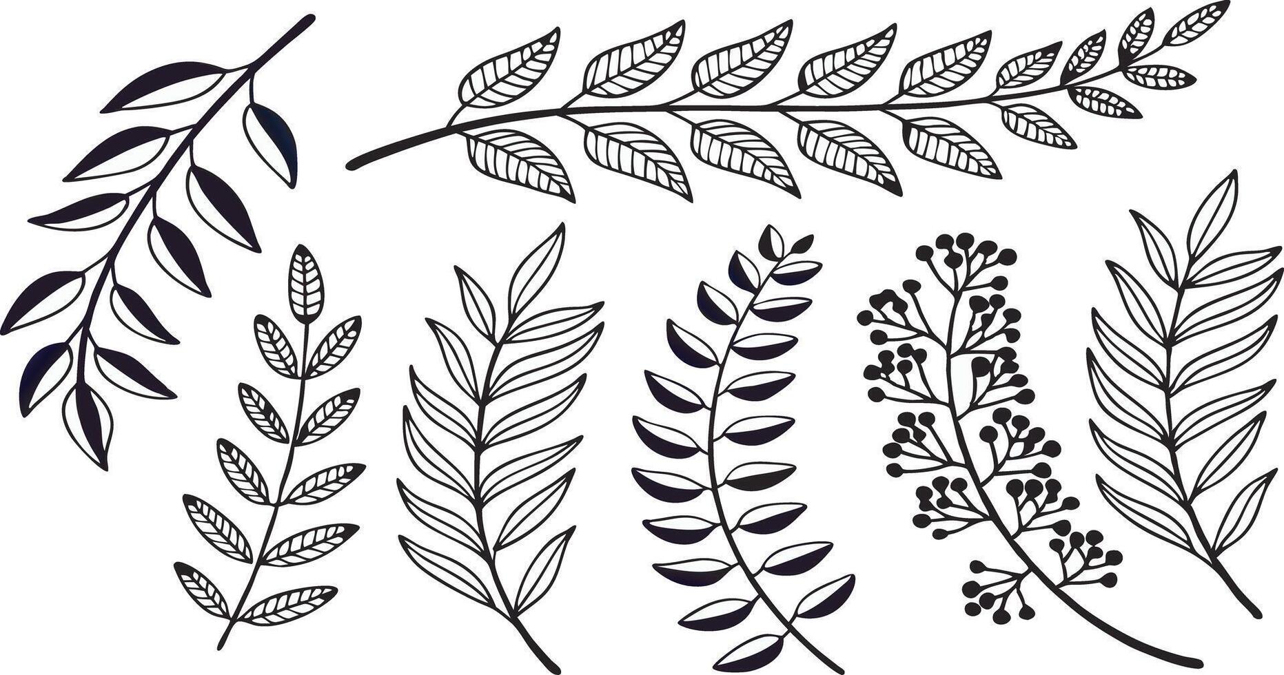 Botanical Leaf Branches Hand-Drawn Decorative Plant and Herb Elements vector