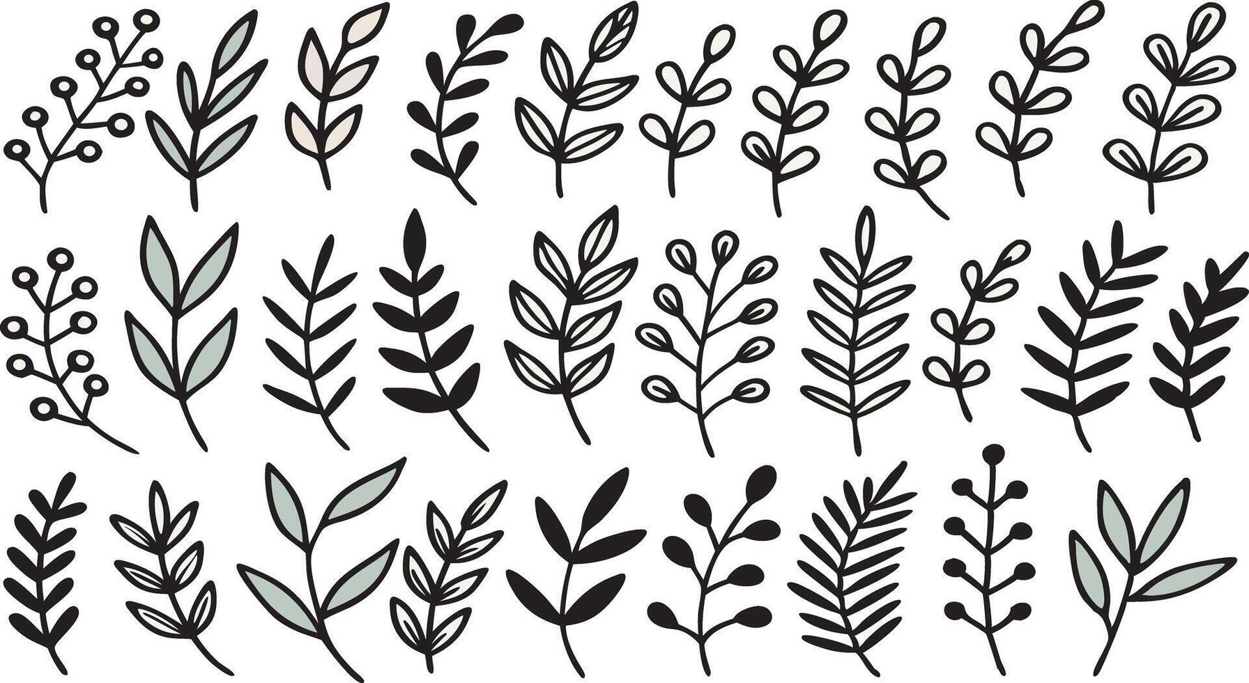 Hand Drawn Decorative Plant Branches Botanical Leaf Set vector