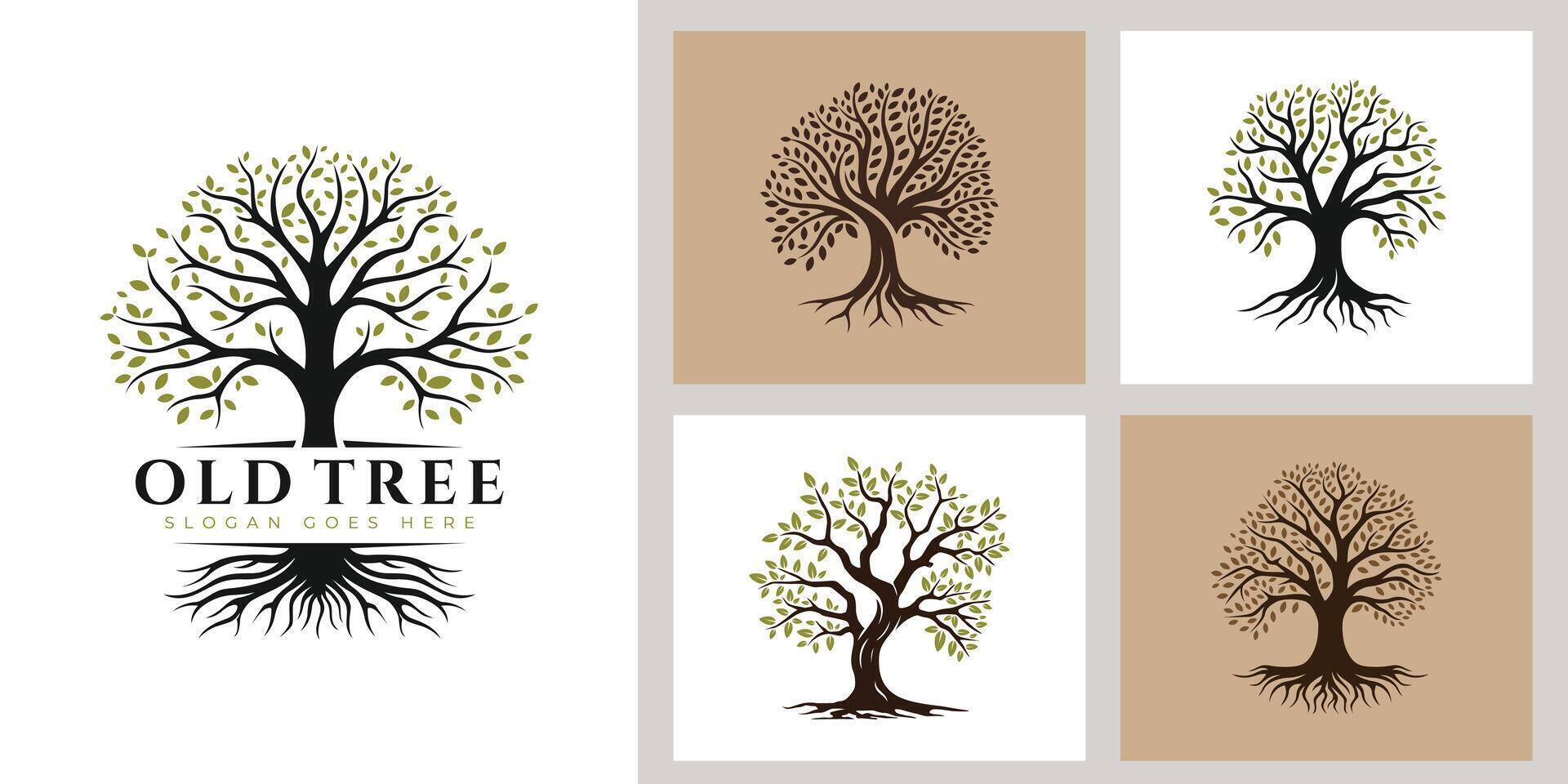 Tree Of Life Logo Design. Collection Abstract Tree Branch with Root design concept vector