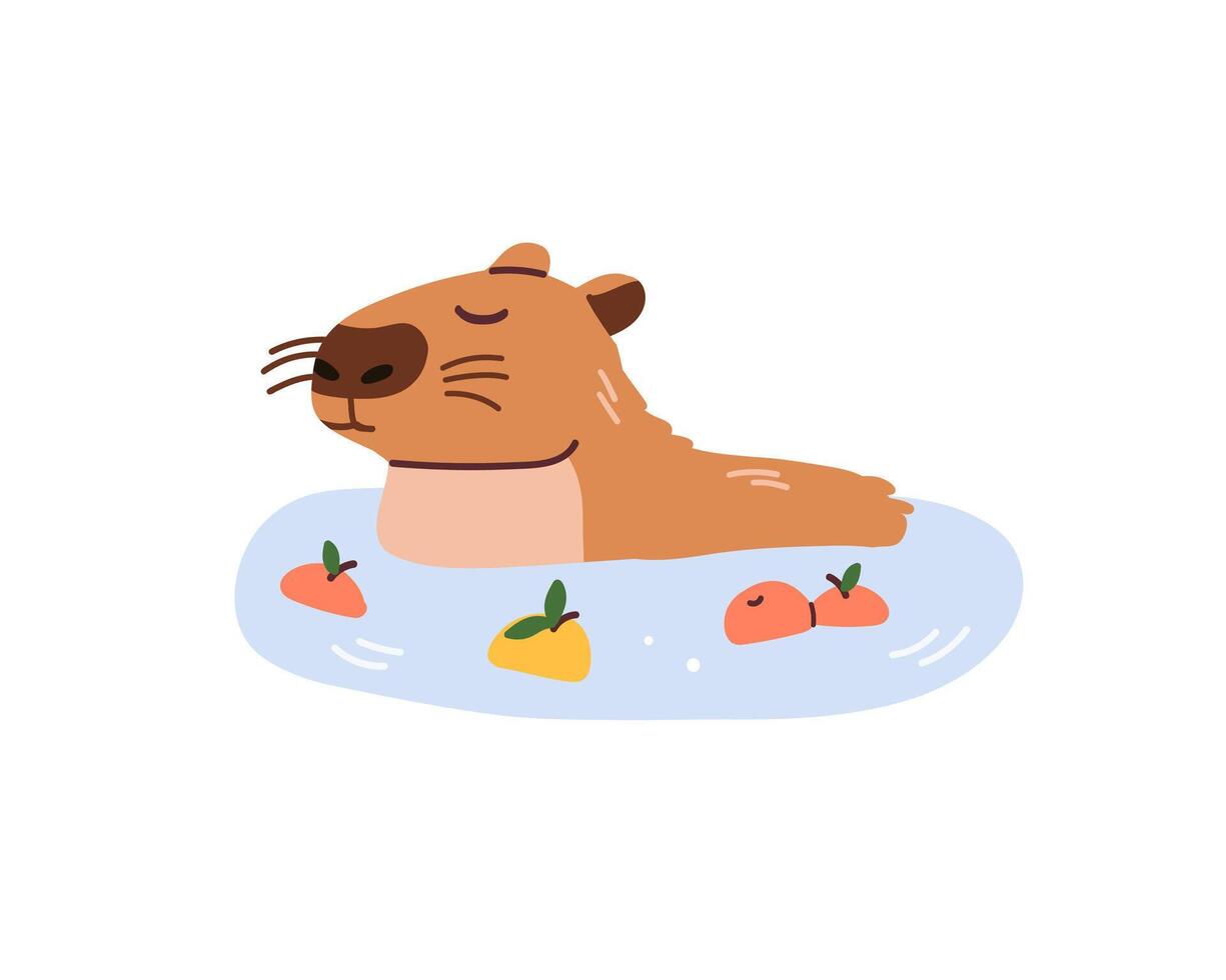 Cute capybara is lying down in water with apples isolated on white background. Baby animal capibara character. Funny happy mammal in water nature flat illustration vector
