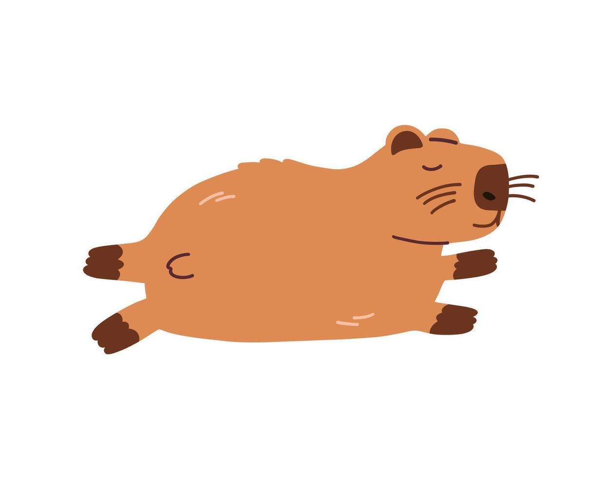 Cute capybara is lying down isolated on white background. Baby animal capibara character. Funny happy mammal in water nature flat illustration vector