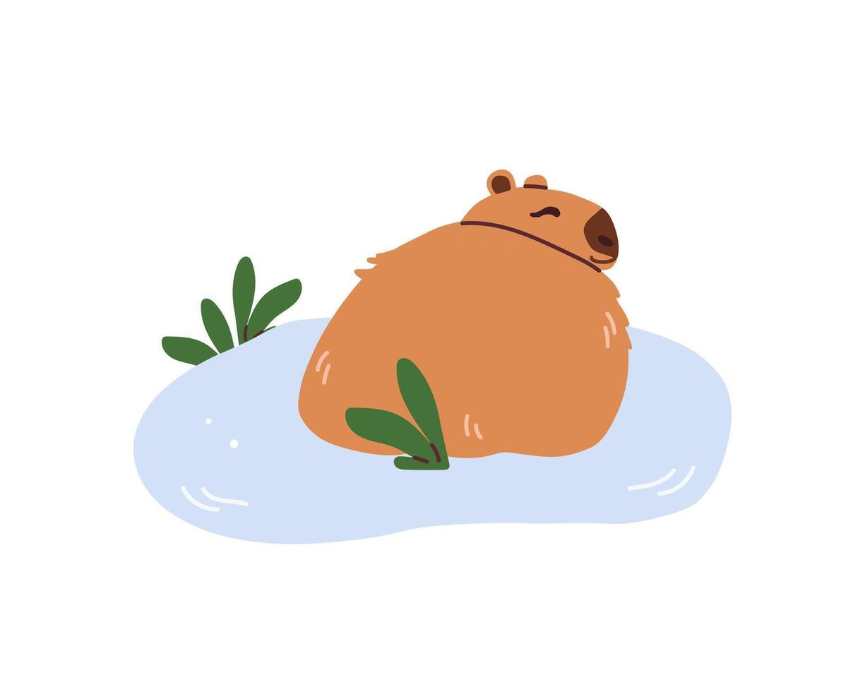 Cute capybara is lying down in water isolated on white background. Baby animal capybara character. Funny happy mammal in water nature flat illustration vector