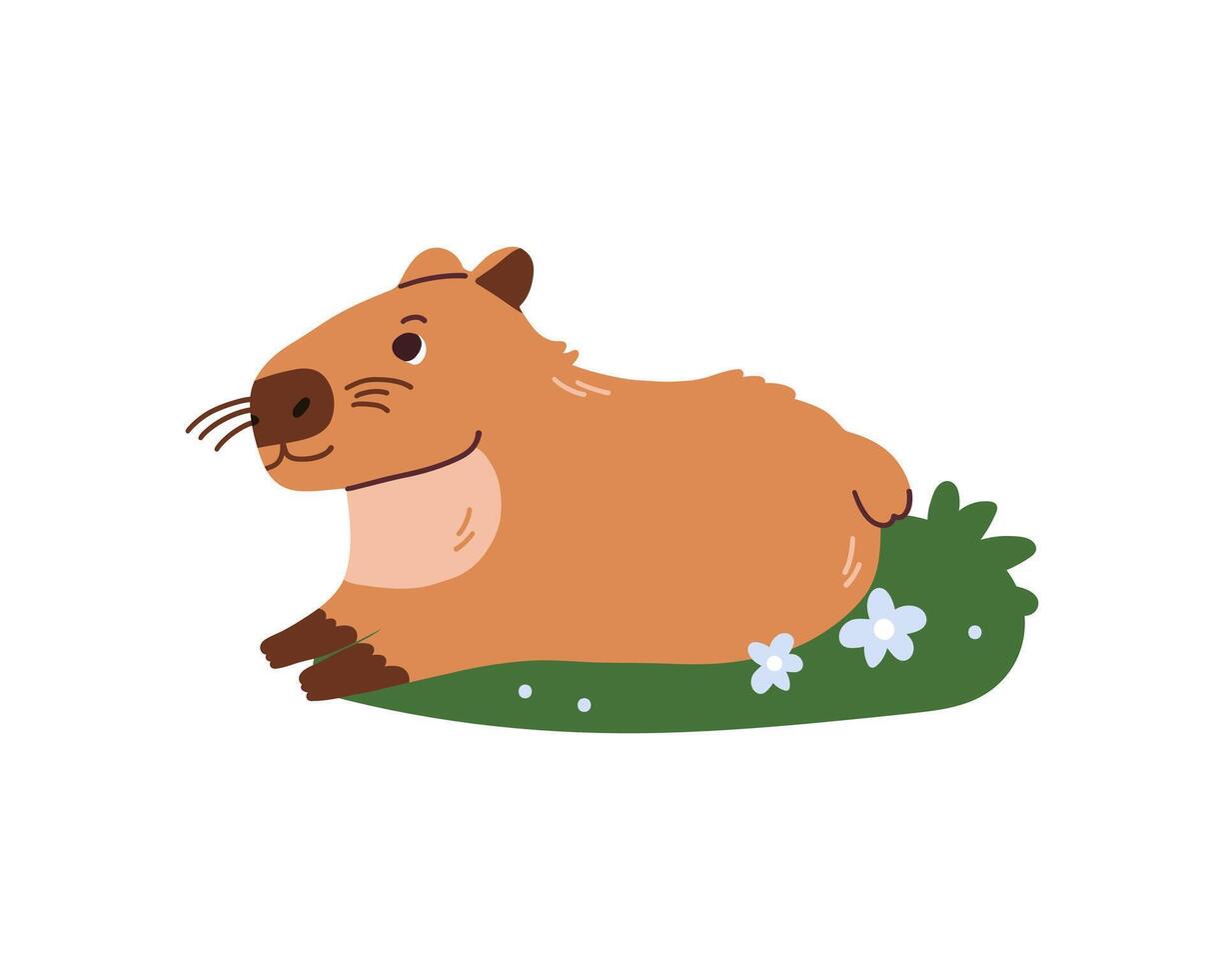 Cute capybara is lying down on grass isolated on white background. Baby animal capibara character. Funny happy mammal in water nature flat illustration vector