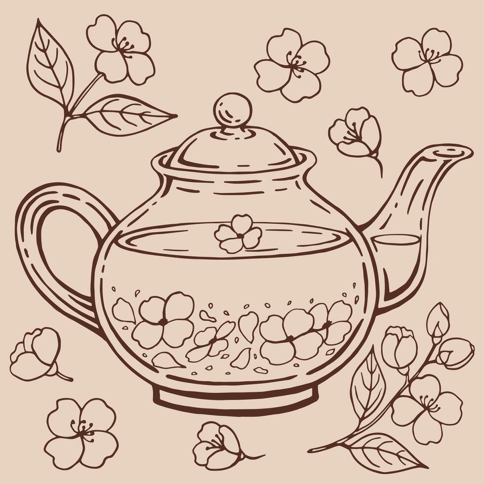 Glass teapot, jasmine Hand drawn illustration in outline style. vector