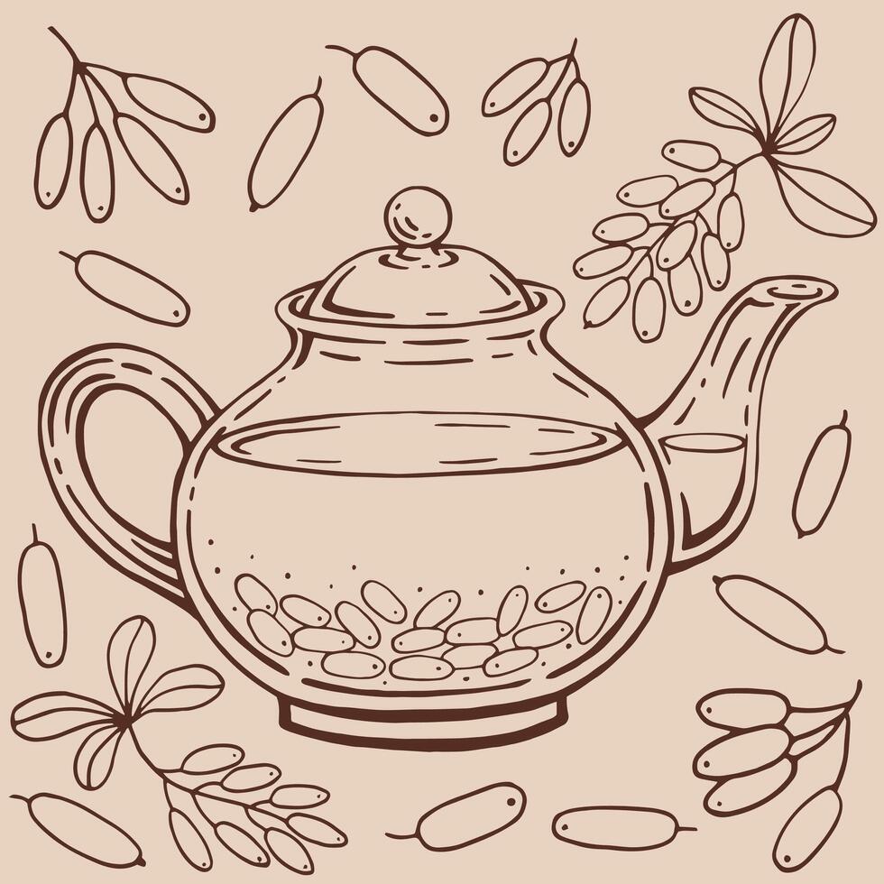 Glass teapot, barberry. Hand drawn illustration in outline style vector