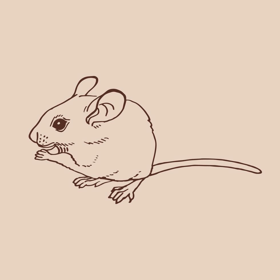 Mouse, Hand drawn illustration. vector