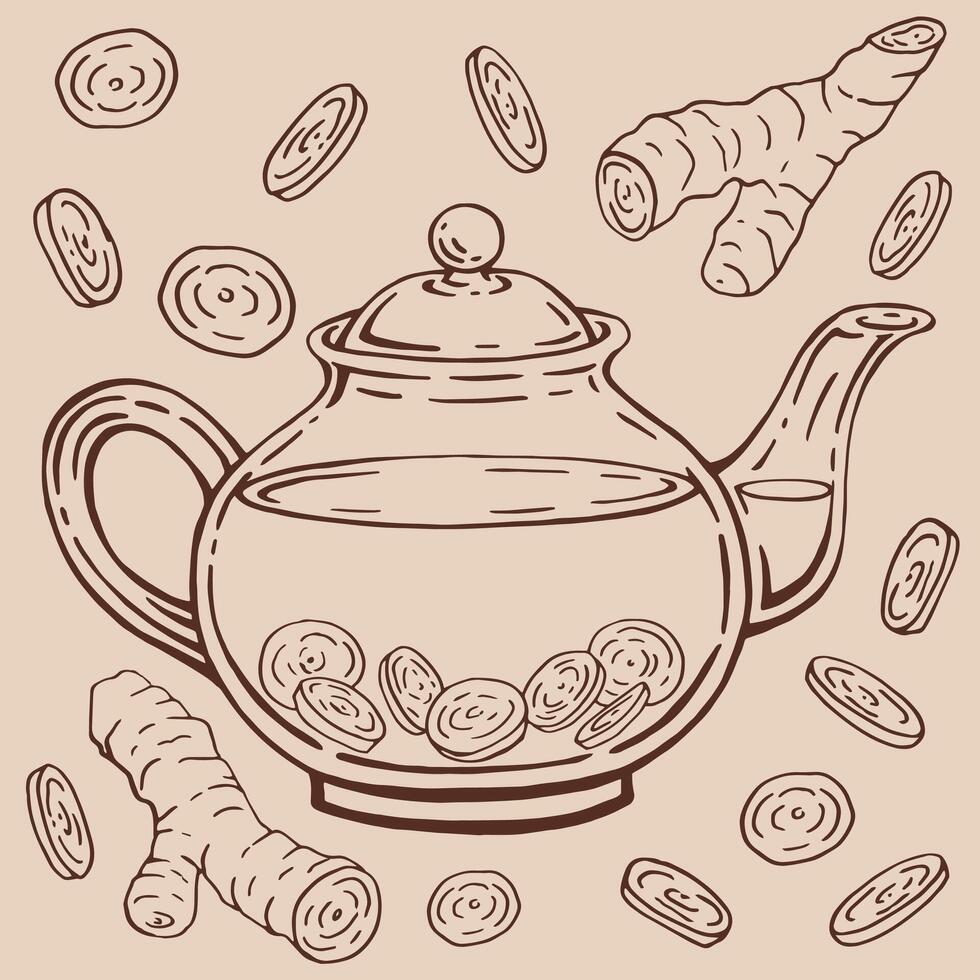Glass teapot, ginger. Hand drawn illustration in outline style vector