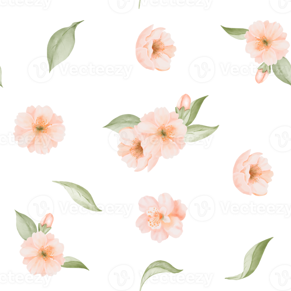 Peach, Cherry Flowers Seamless Pattern. Hand drawn Watercolor Illustration of Spring blossom Flowers and Leaves. For fabric or textile prints, gift packaging paper. png