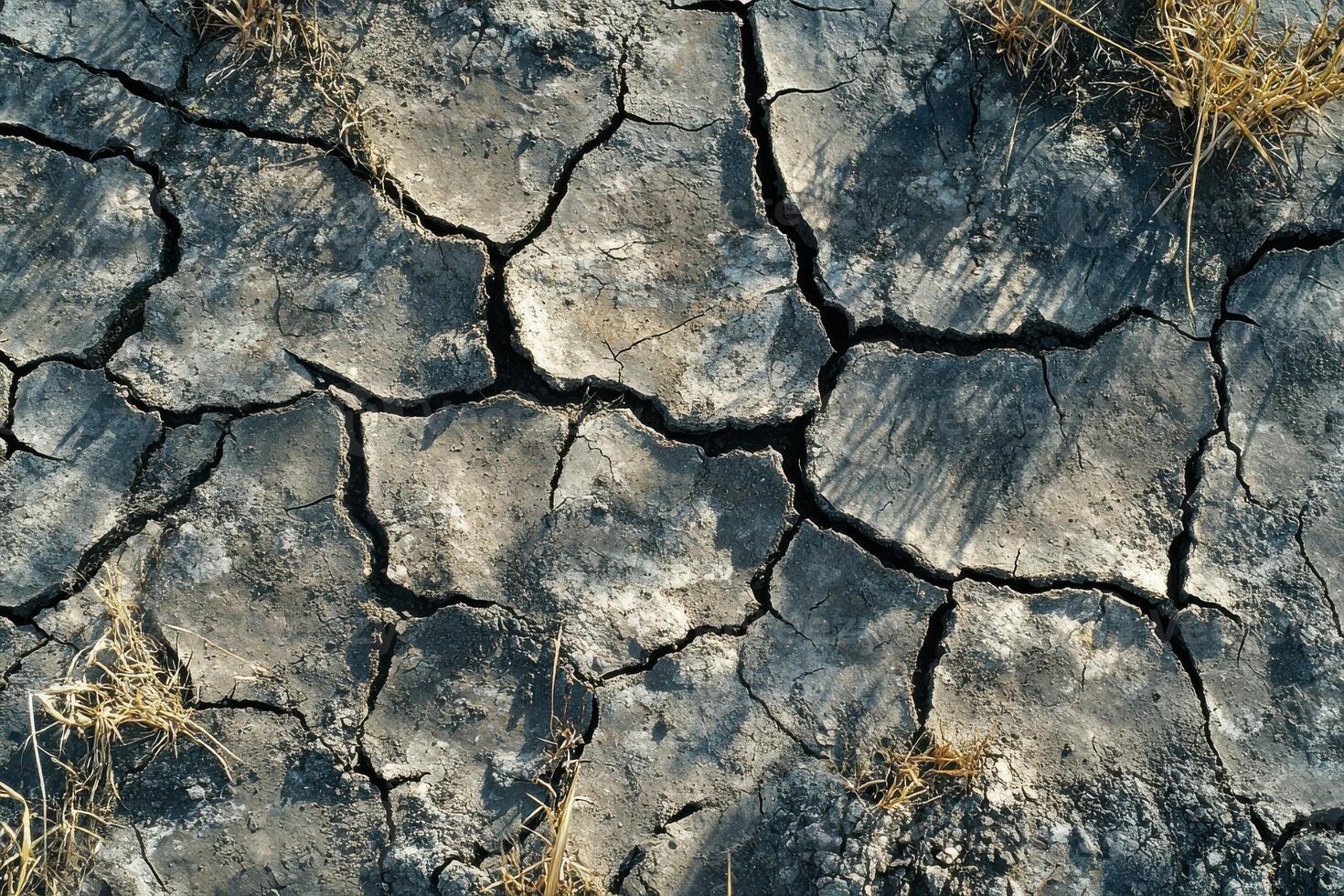 Stunning View of Cracked Earth with Dry Grass in the Foreground Ideal for Environmental Awareness Campaigns and Educational Purposes photo