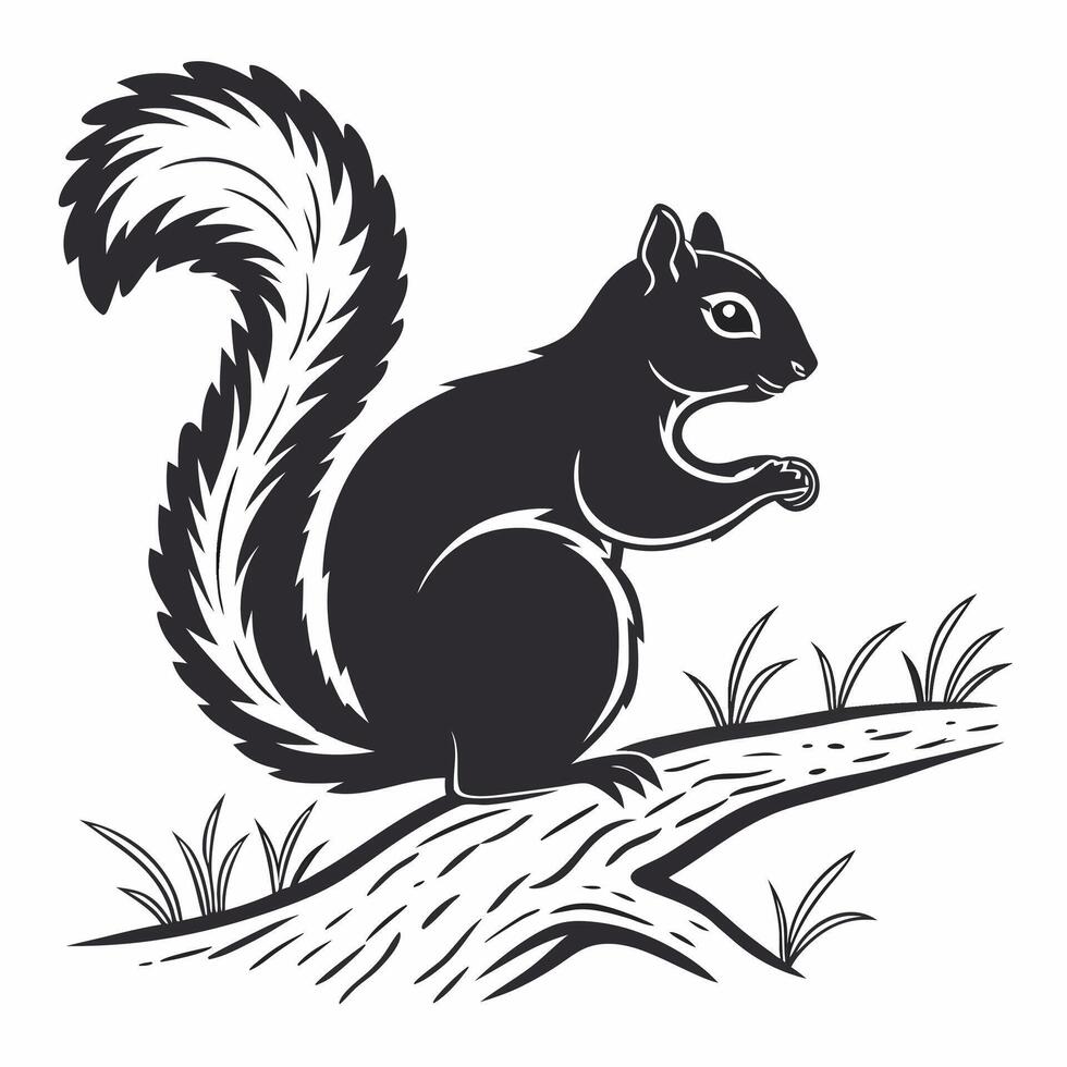 Squirrel on Branch Monochrome Illustration Classic Style. vector