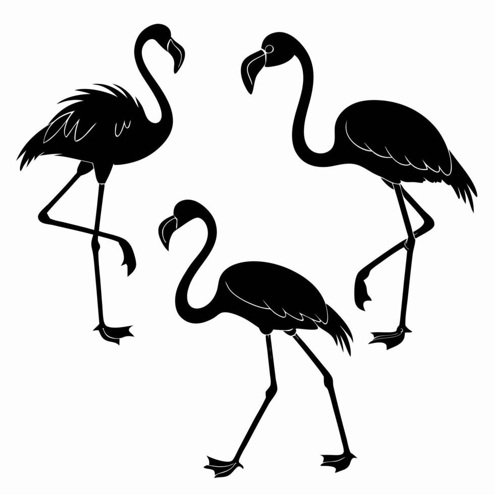 Three Flamingo Silhouettes Elegant Black Graphics for Logo Design. vector