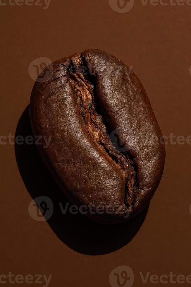 A detailed macro photograph of a single roasted coffee bean placed on a monochrome brown background. The texture of the bean is clearly visible, with crisp surface cracks, rich dark brown color photo