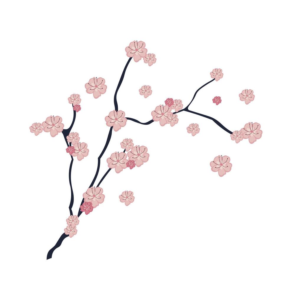 Sakura branch with flowers in flat design. Japanese pink cherry blooming. illustration isolated. vector