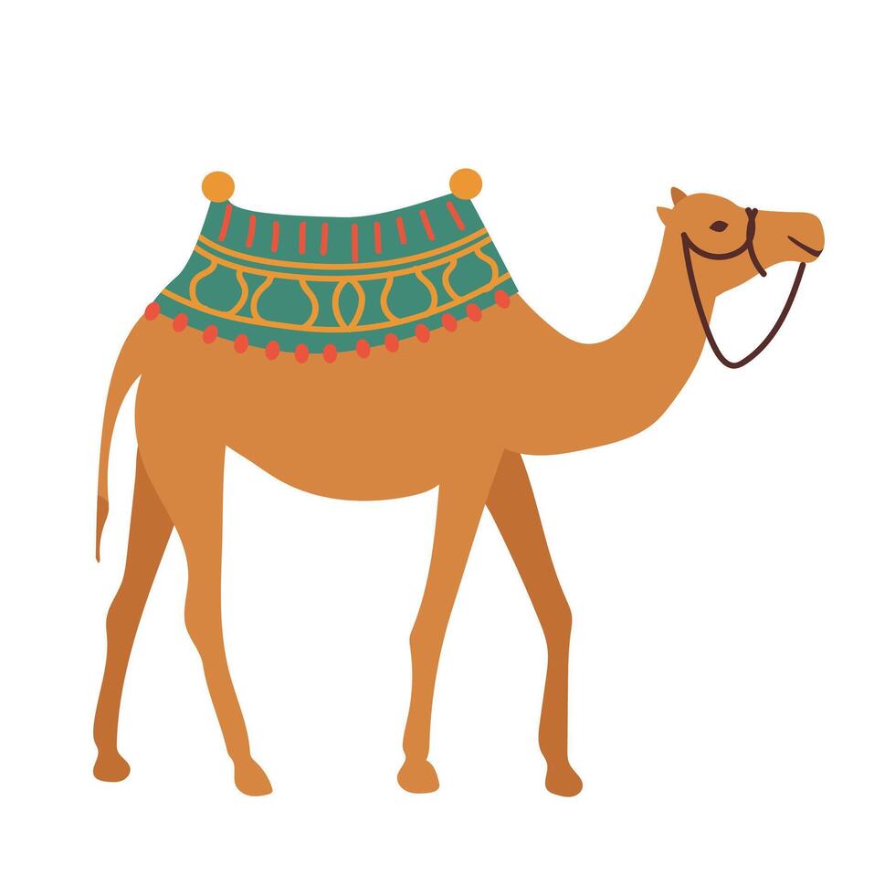 Camel with Morocco ornate textile in vase in flat design. Traditional desert animal. illustration isolated. vector