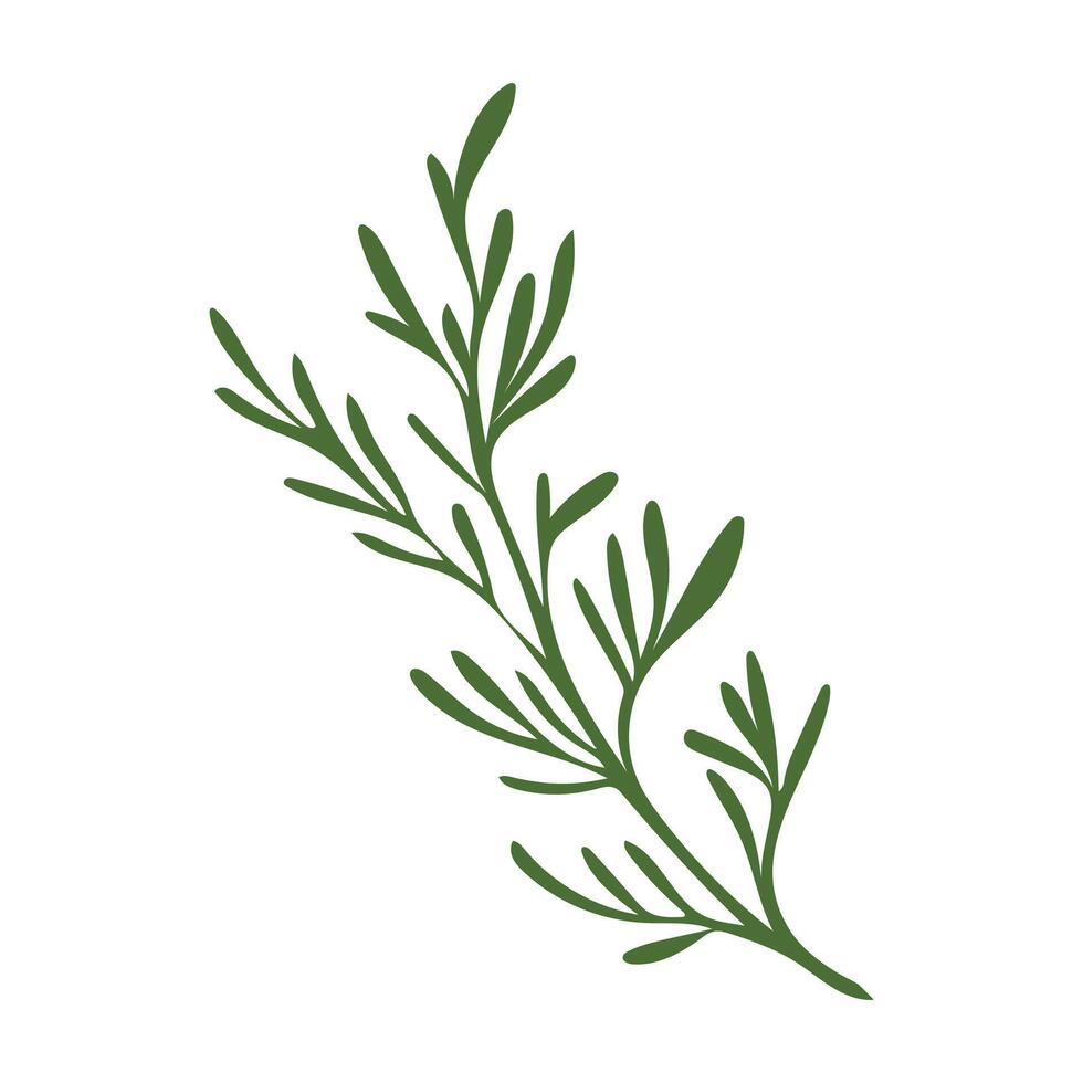 Green dill herb flat in flat design. Fennel leaves, seasoning plant. illustration isolated. vector