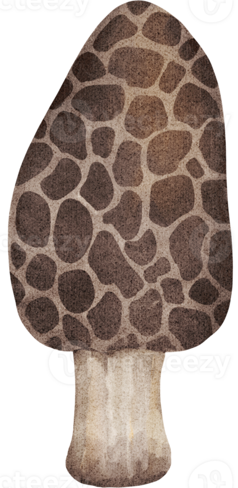 Springy Bop Soft Button png