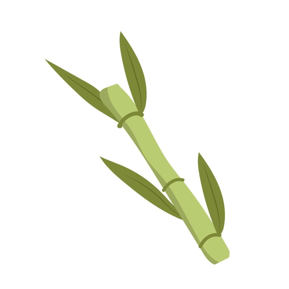 Green sugarcane plant in flat design. Ripe sweet cane stem with leaves. illustration isolated. vector