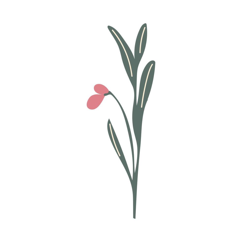 Gentle pink flower on stem in flat design. Spring soft and tender blossom. illustration isolated. vector