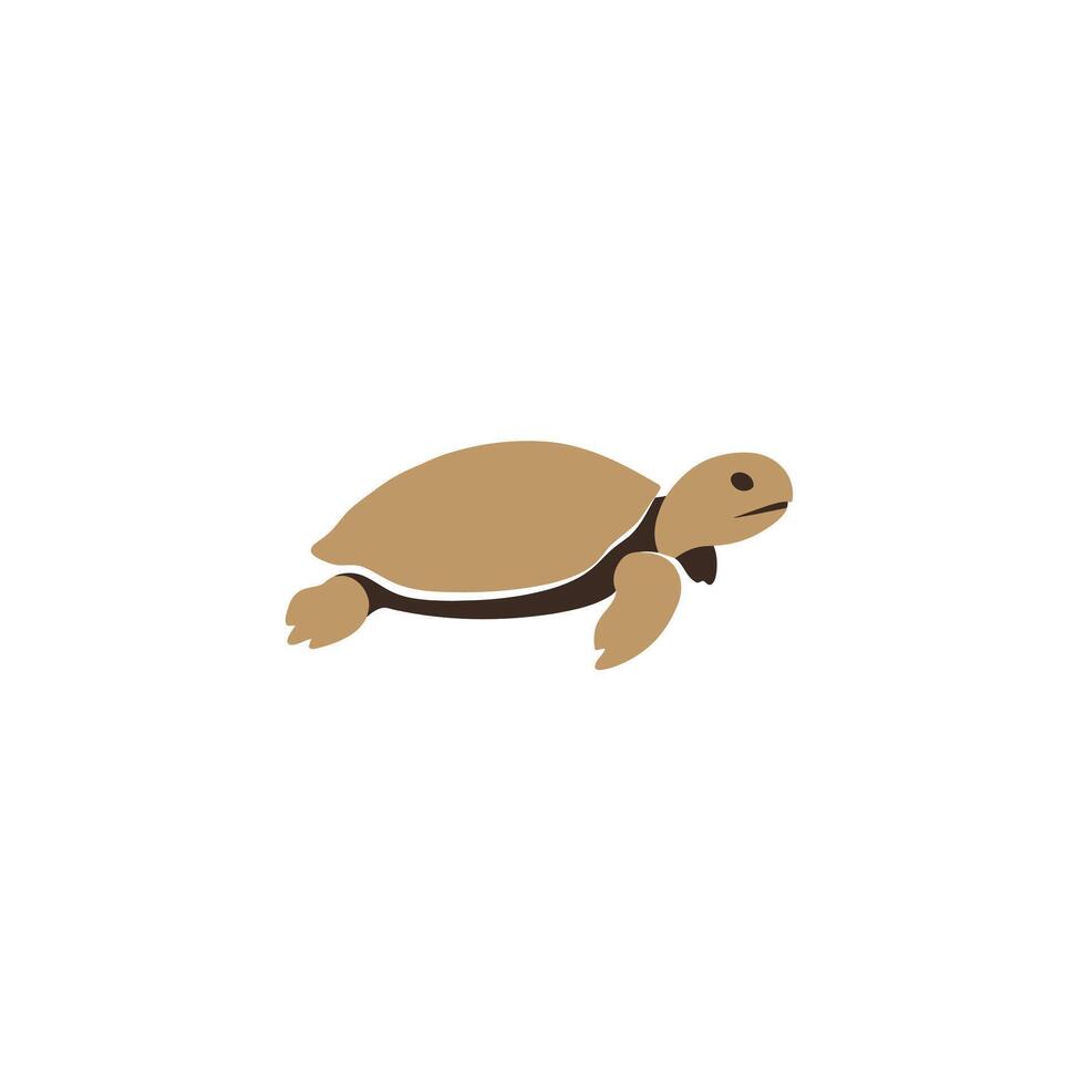 Turtle logo design vector