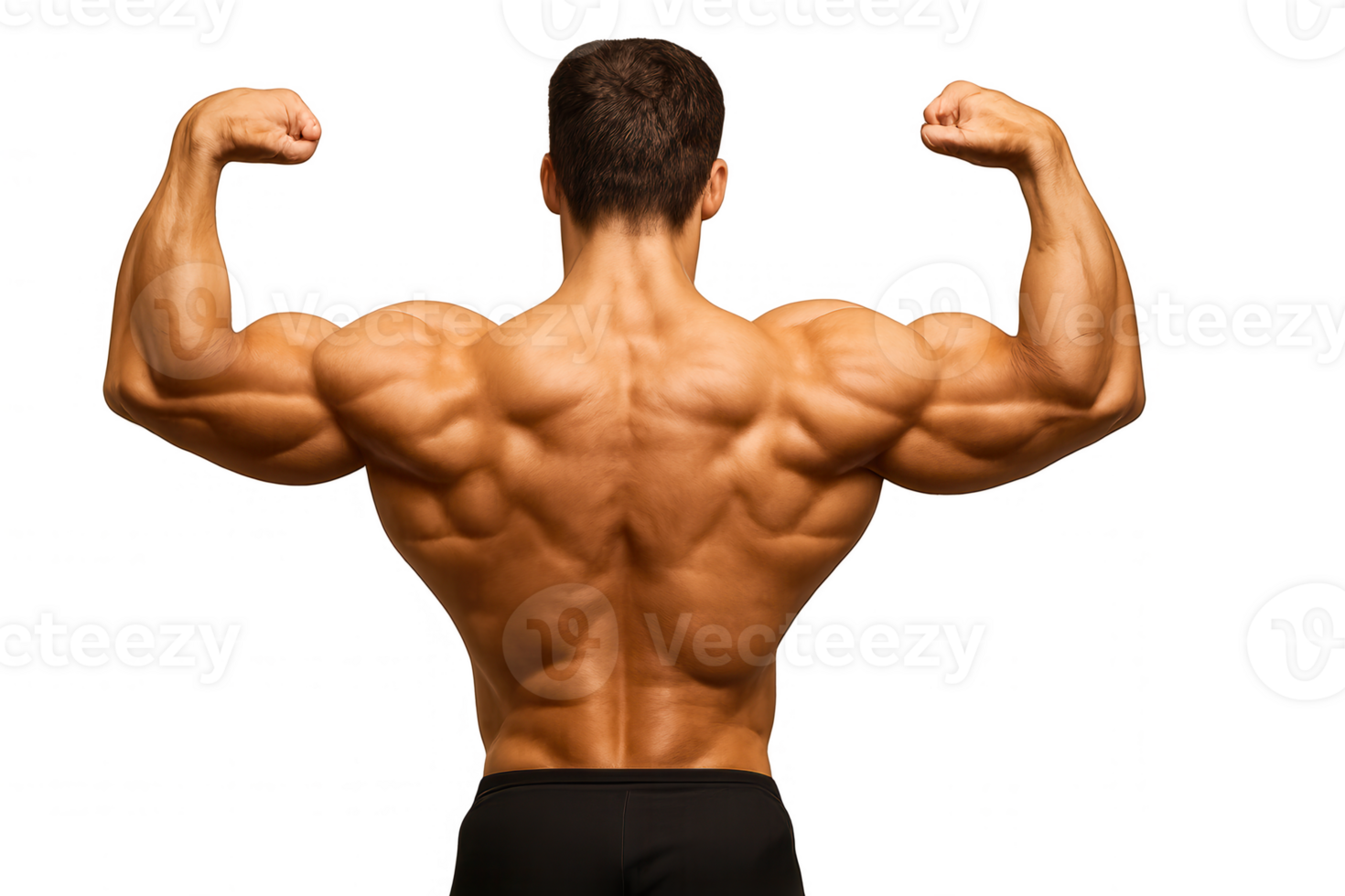Bodybuilder flexing muscles showing back on transparent background png