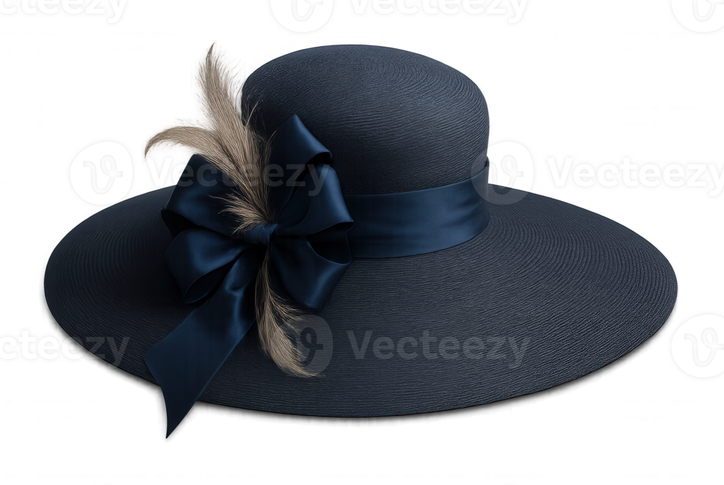 Elegant Wide-Brimmed Hat with Decorative Ribbon png