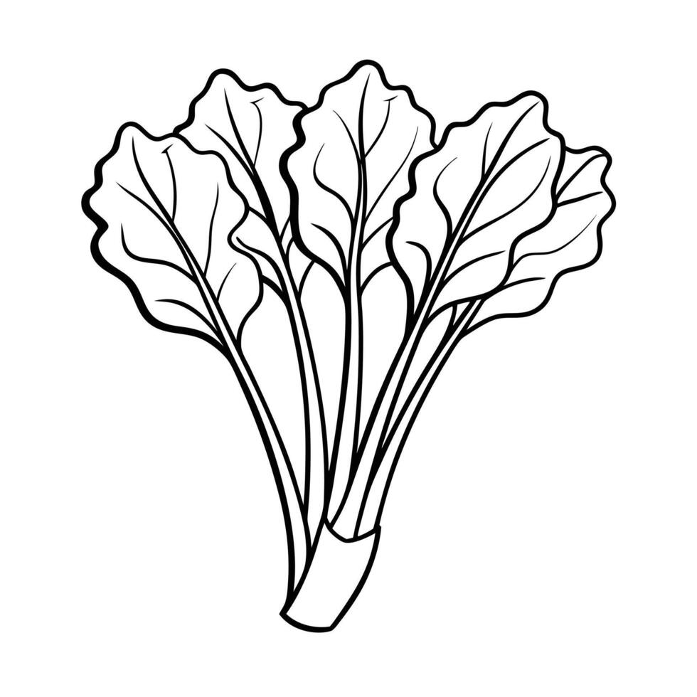 Fresh Organic Chard Illustration for Cookbook or Recipe Website vector