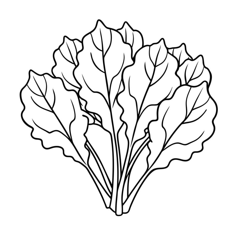 Fresh Organic Beet Greens Illustration for Vegan Recipes and Farm to Table Menus vector