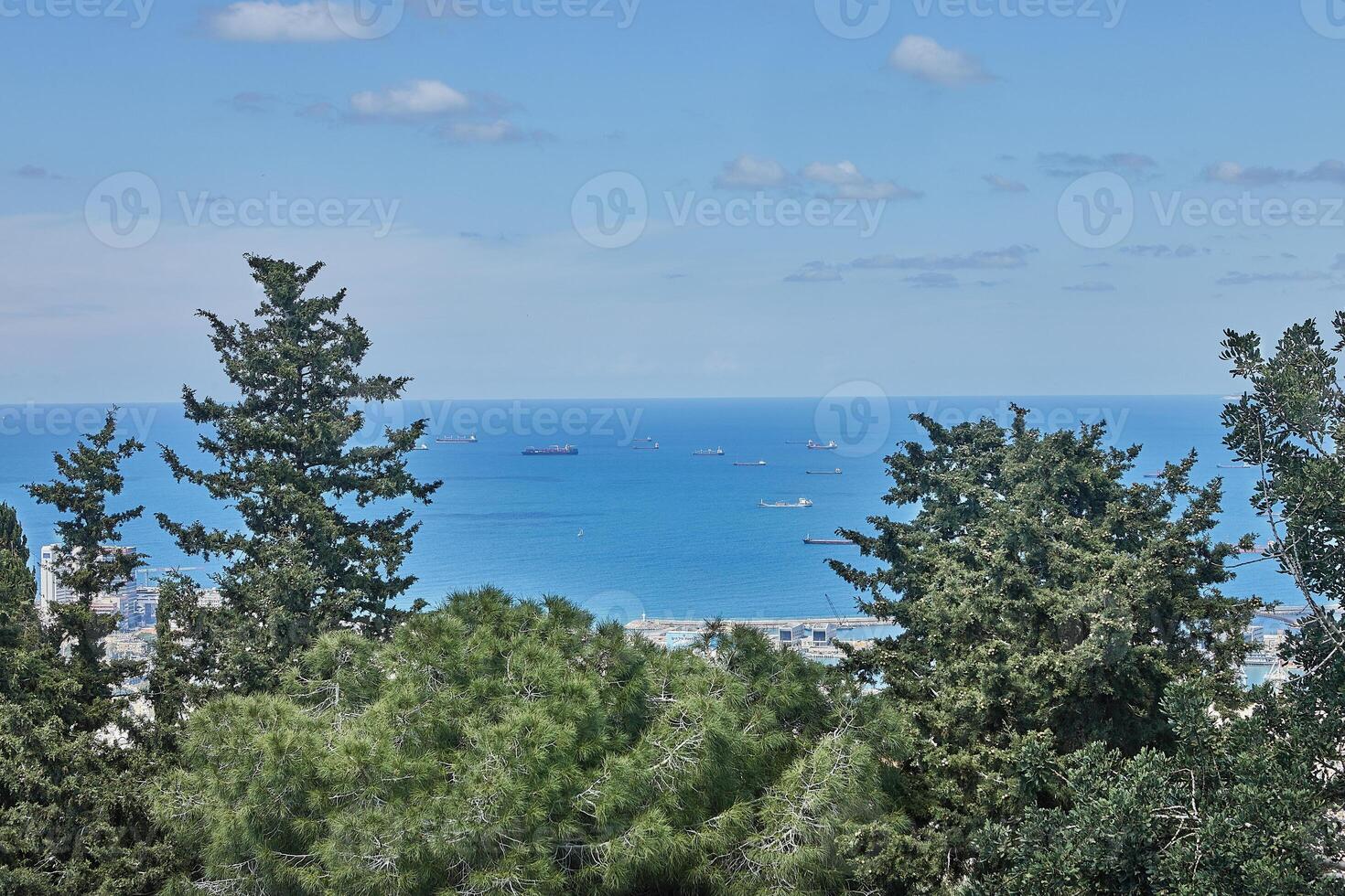 View of cargo ships anchored near Haifa coast in Israel, framed by lush green trees under a bright and clear sky photo