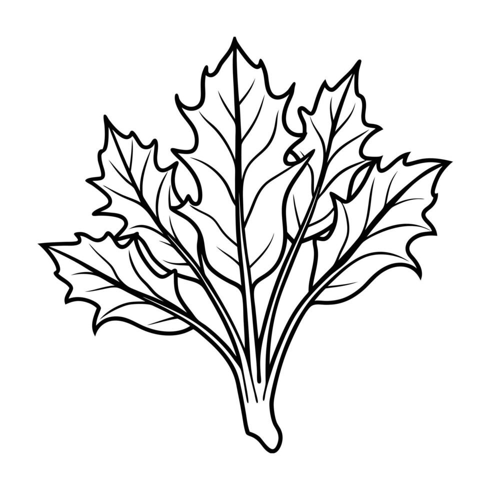 Botanical Illustration of a Leafy Plant Ideal for Herbalism Botanical Art and Nature Themed Designs vector