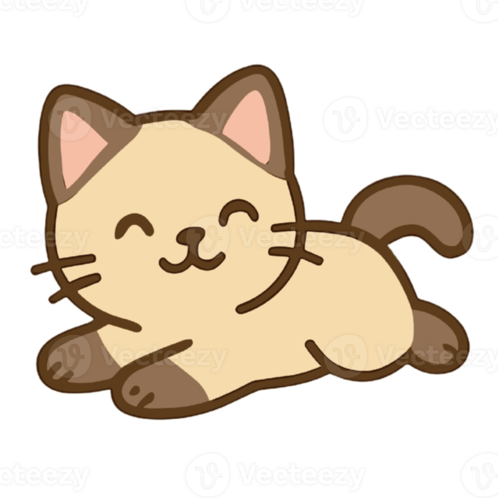A cute little cat Siamese png