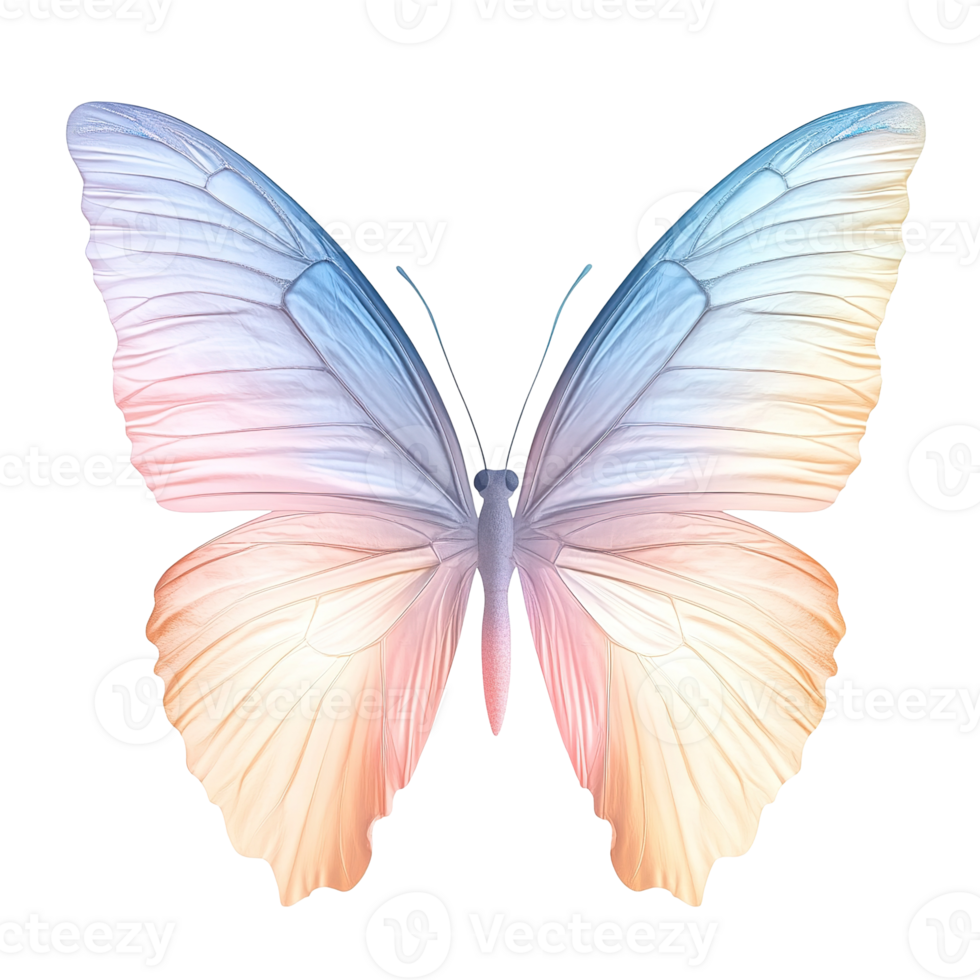 A beautiful multicolored butterfly displaying its delicate and patterned wings png