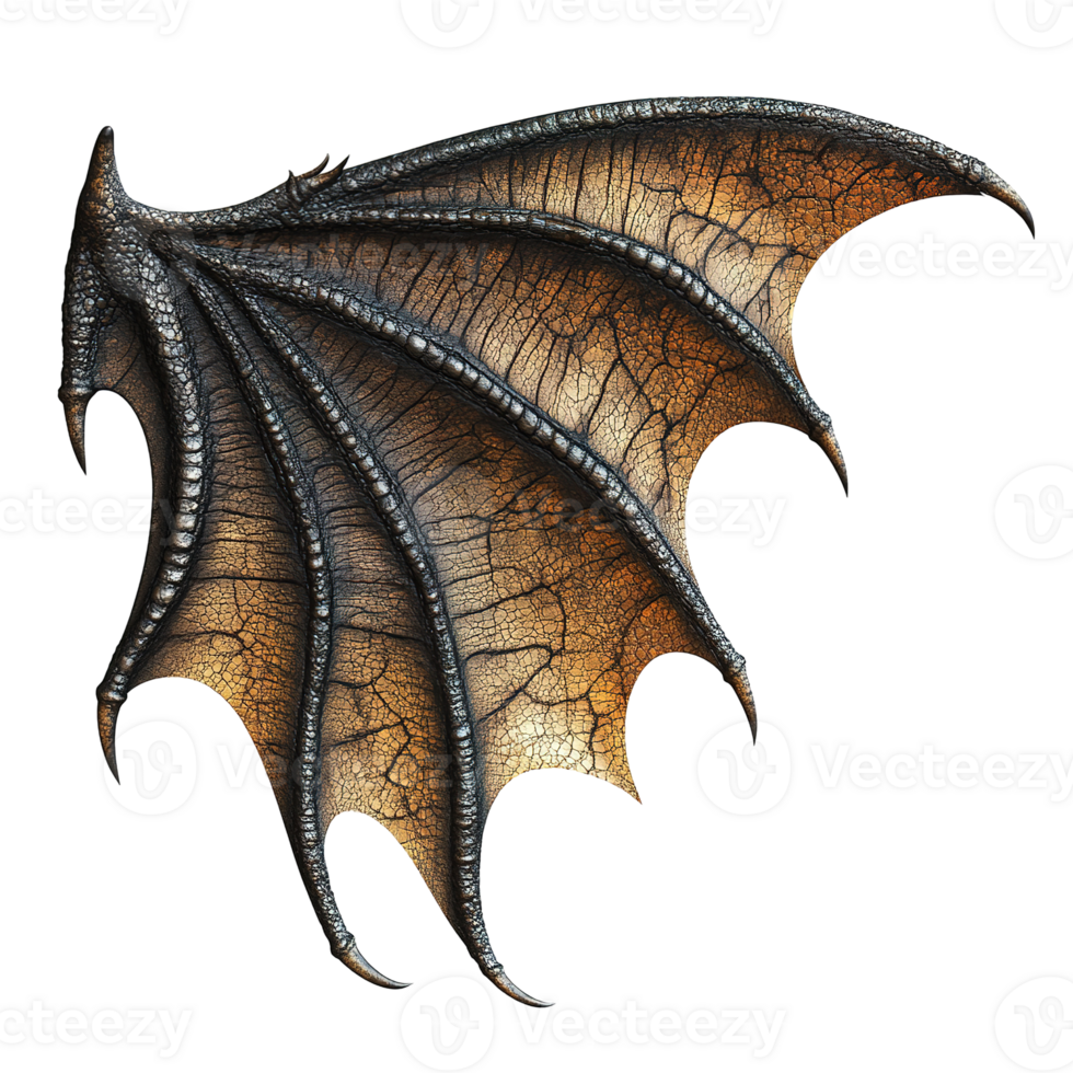 An impressive textured wing from a fantasy mythological creature png