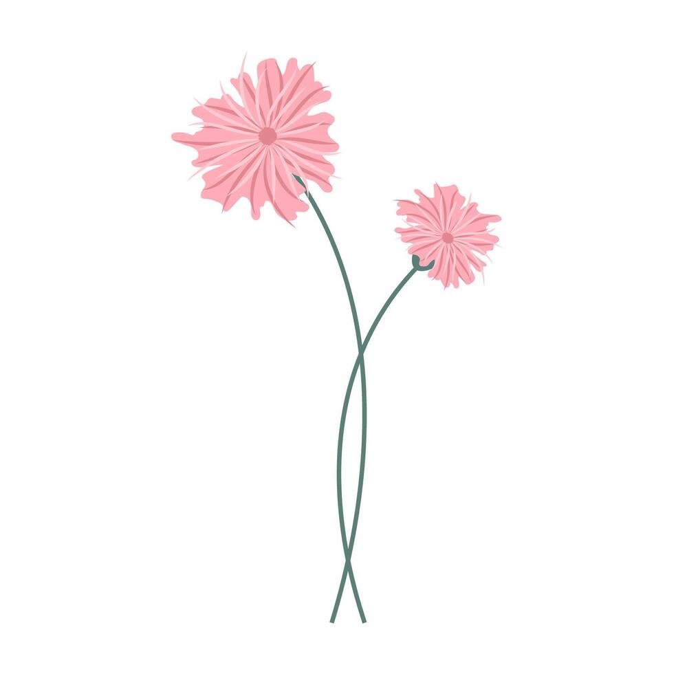 Simple colorful flower and leaves on a white background. Spring and Summer Season. vector
