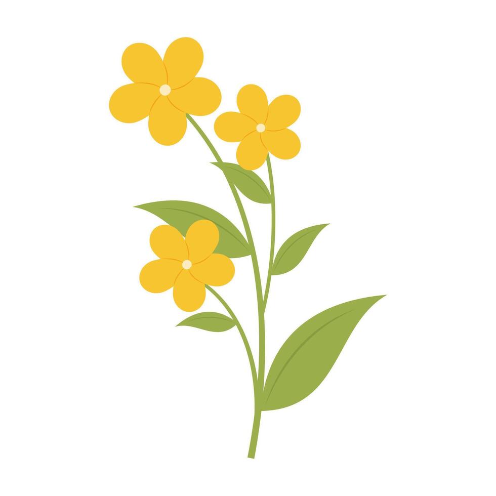 Various colorful flower with green leaves on a white background. Spring and Summer Season vector