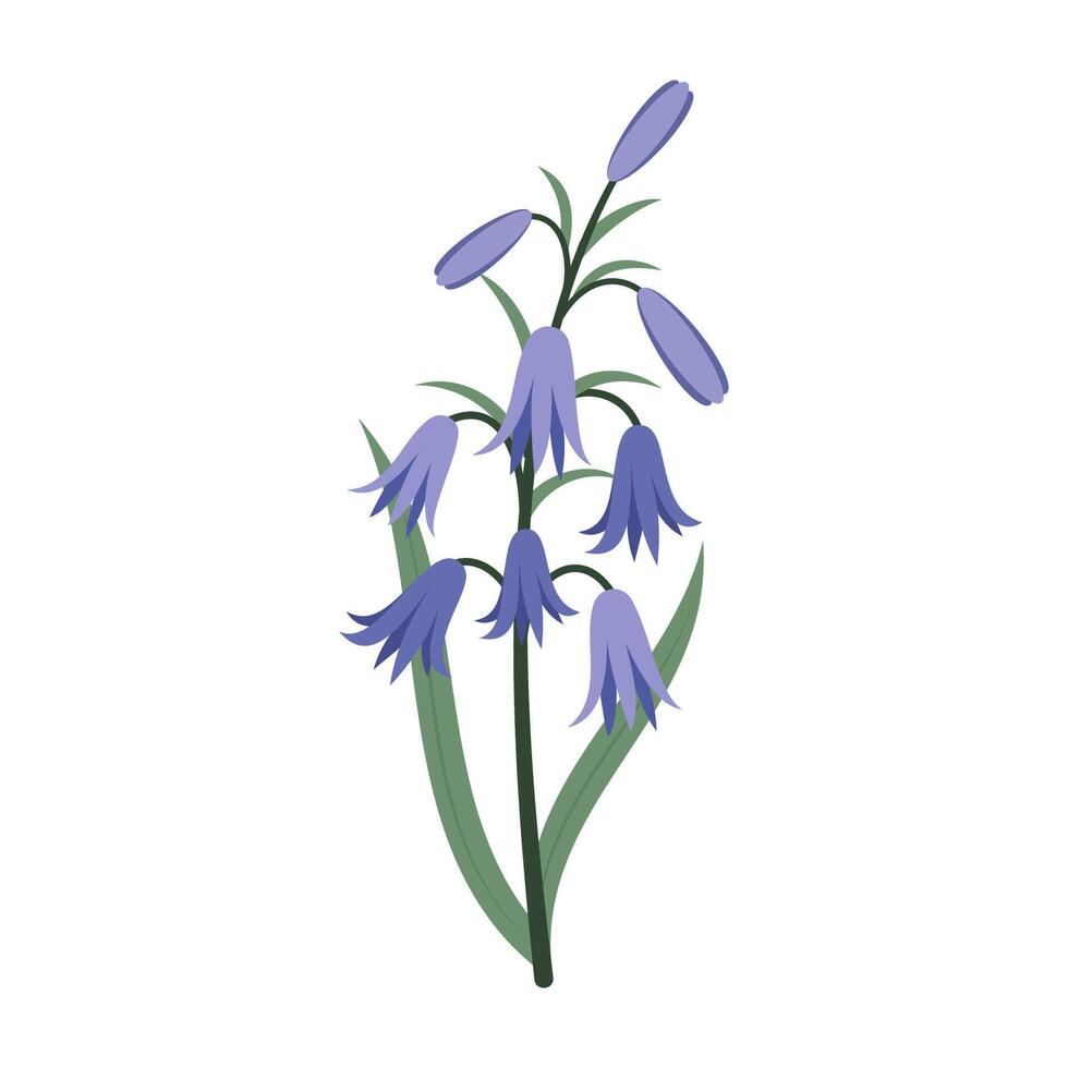 Colorful flowers and leave on a white background. Spring and Summer Season. vector