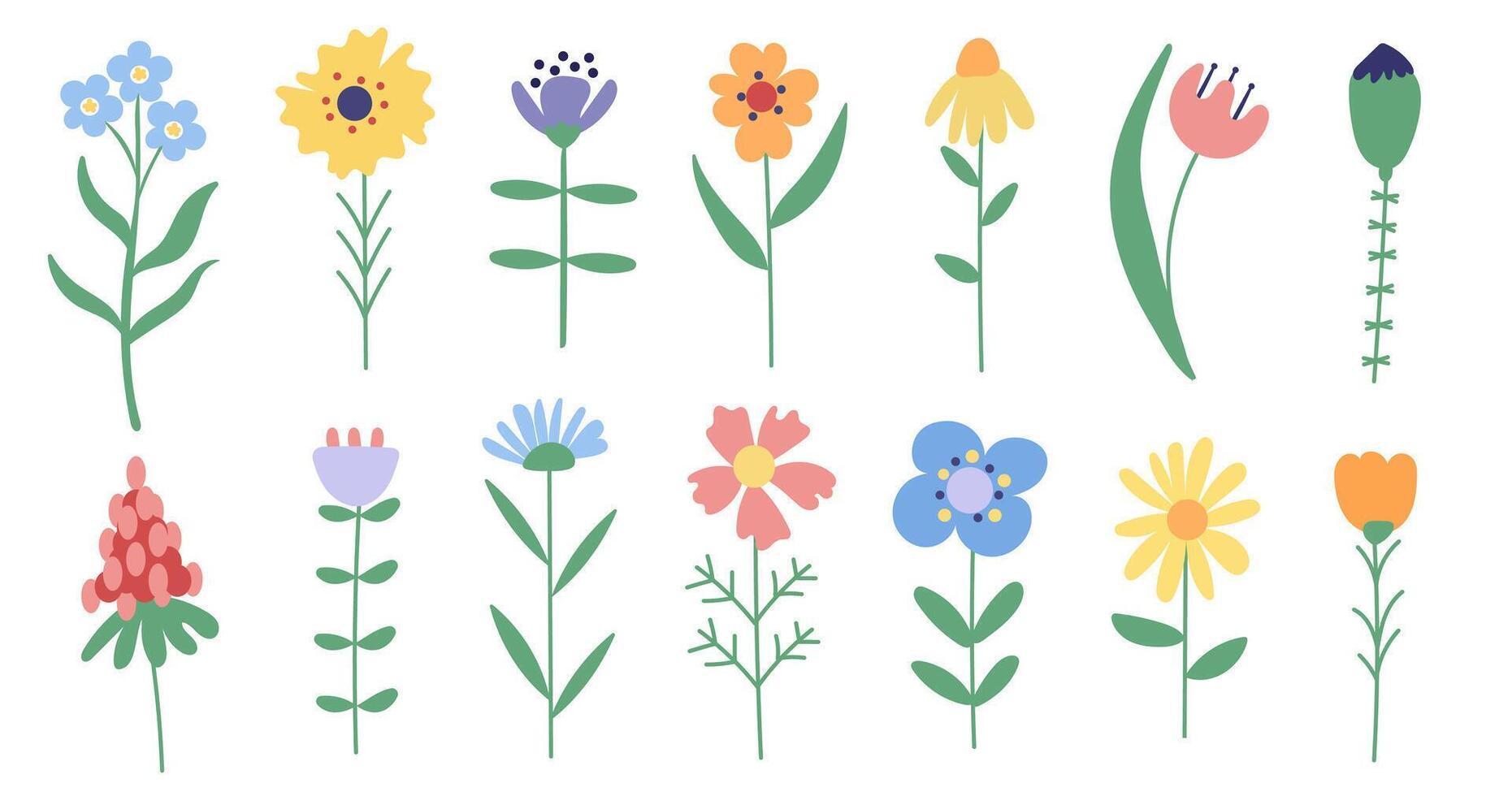 Simple wild flowers set on white background. vector