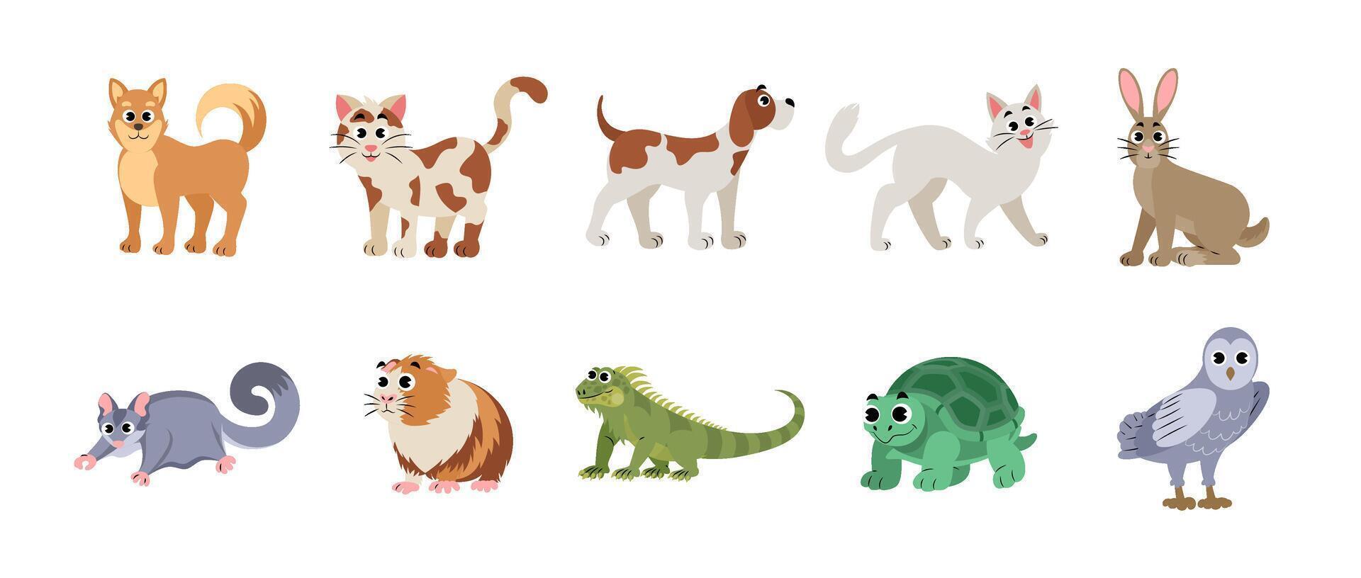 Colorful Cartoon Pet Animals Illustration vector