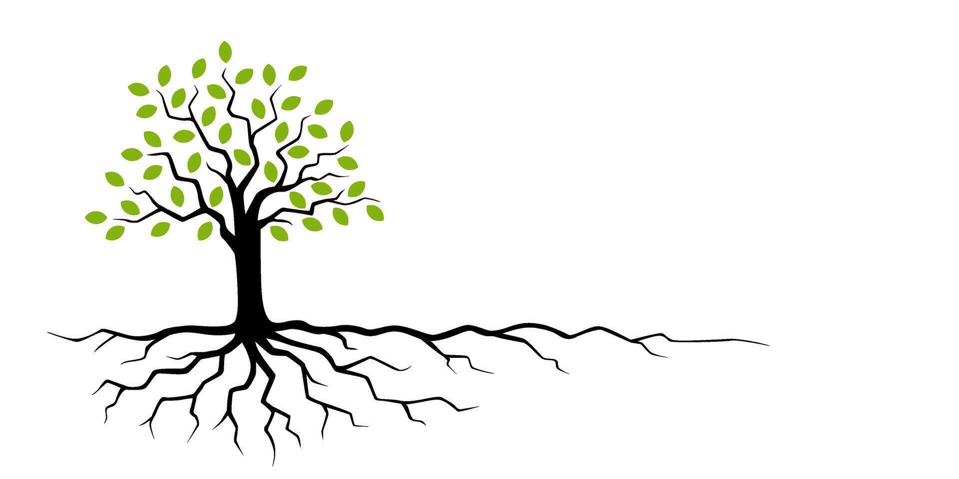 Stylized Tree with Roots and Green Leaves vector